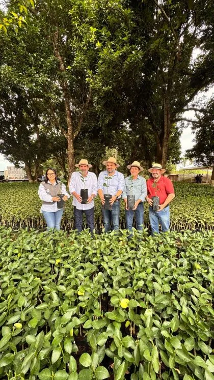 Dr. João destaca potencial do Brasil para agricultura familiar durante entrega de mudas e cessão de área Primeiro-secretário da ALMT esteve com secretária da Seaf e presidente da Empaer em evento em uma das principais cidades do estado em agricultura familiar