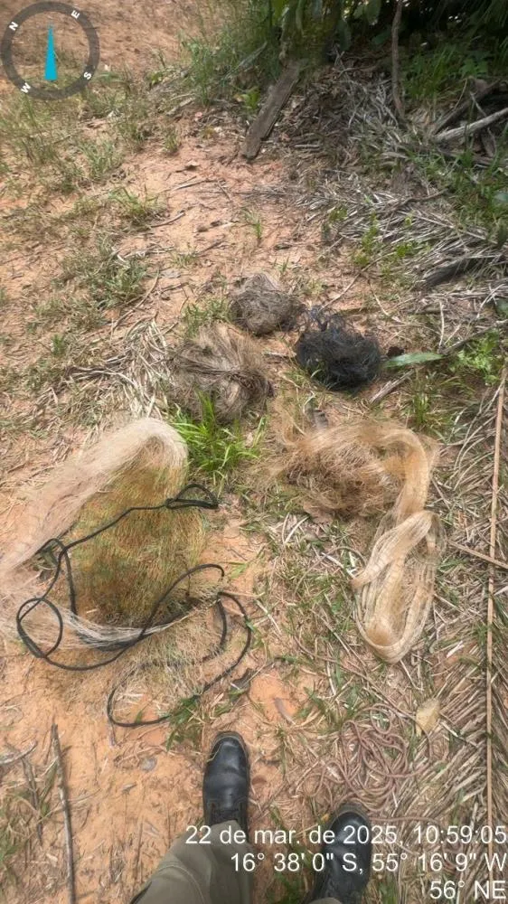 Polícia Militar 1ª CIPM apreende pescado e uma espingarda calibre .22 com 56 munições