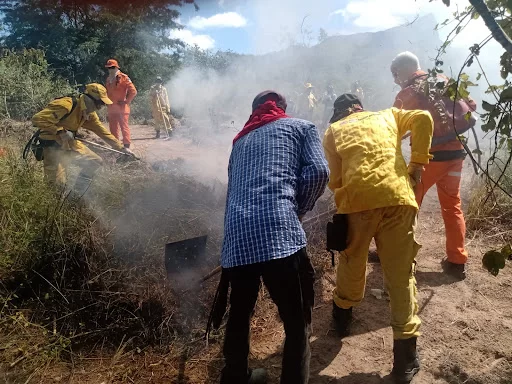 Defesa Civil, Corpo de Bombeiros e Sindicato Rural oferecem curso de brigadista florestal