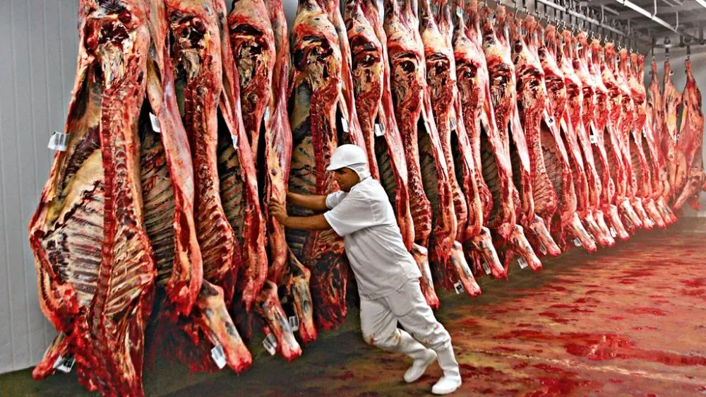 Entidades nacionais apoiam suspenção do fornecimento de carne ao Carrefour