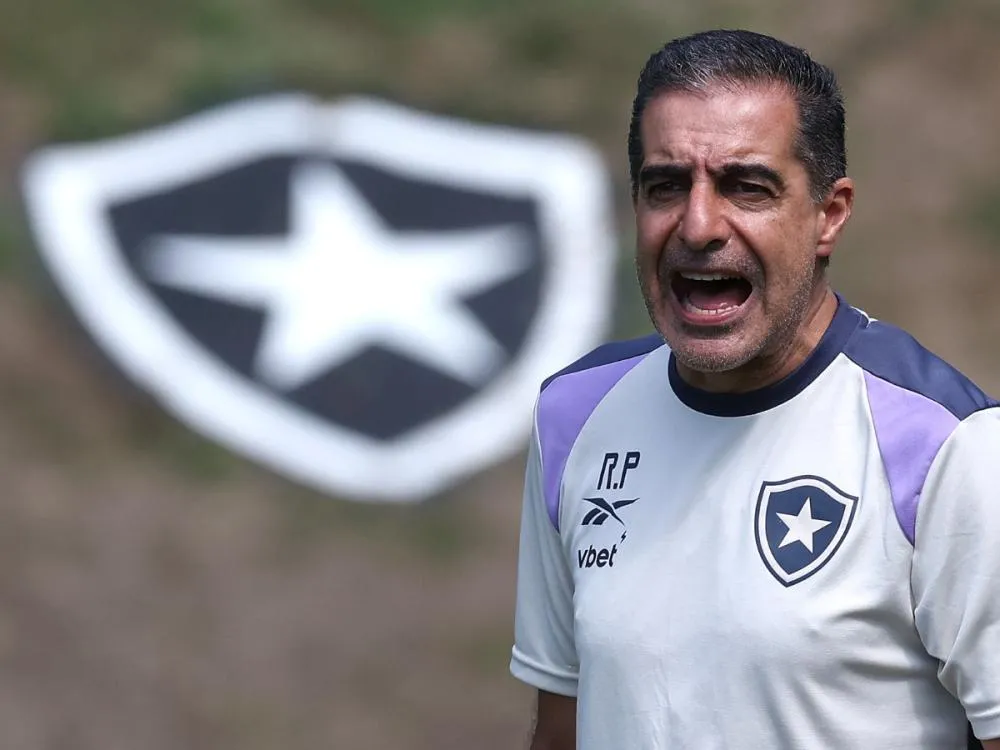 Botafogo anuncia demissão do técnico Renato Paiva Derrota por 1 a 0 contra o Palmeiras foi o último jogo do treinador português à frente do clube