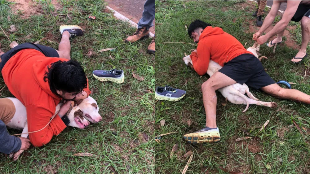 Vídeo: lutador de muay thai imobiliza dois pitbulls após ser atacado em MS Homem foi atacado enquanto fazia corrida; ele teve ferimentos nas pernas e quebrou um dedo da mão