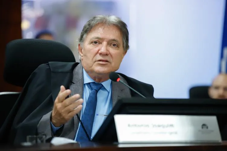 Artigo TCE MT Efeito borboleta