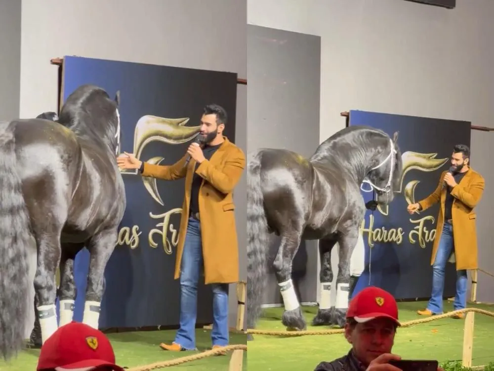 Gusttavo Lima leiloa sociedade de cavalo que brilhou em série da Netflix. Saiba quanto! O cantor sertanejo leiloou 50% do cavalo premiado, uma cota milionária
