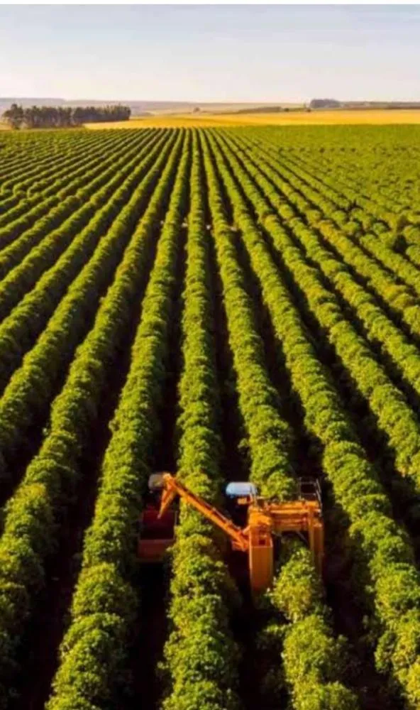 Vigente: A plataforma Única, que Inova a relação ambiental, fundiária no Brasil