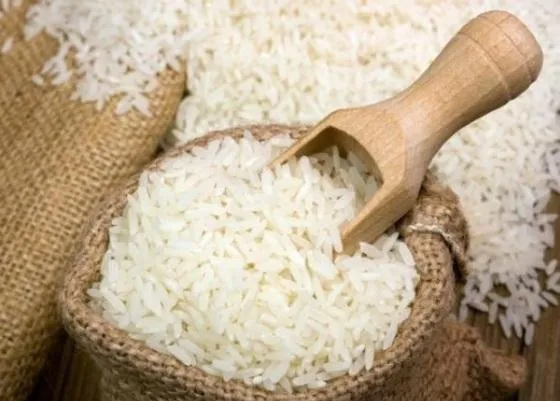 Agricultores de MT terão até 54% de bônus em dívidas do Pronaf Medida beneficia produtores familiares com descontos em financiamentos rurais válidos até outubro