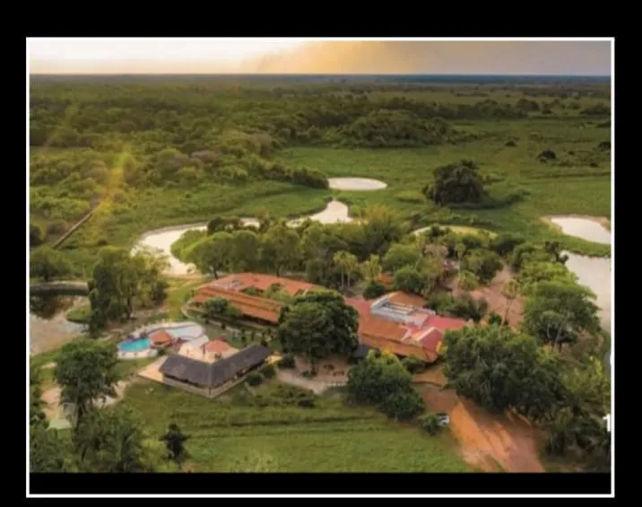 Coluna Anamaria: Conexão MT | RN por Anamaria Bianchini: O Pantanal que o mundo precisa conhecer: A alma de Mato Grosso!