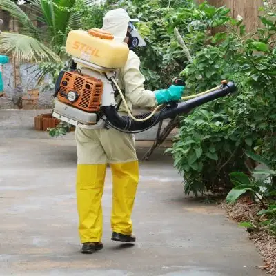 Dengue tipo 3: cidade de MT confirma 9 casos do sorotipo raro que voltou a circular no Brasil