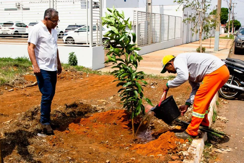 Agricultura planta muda em comemoração ao “Dia Mundial da Árvore”