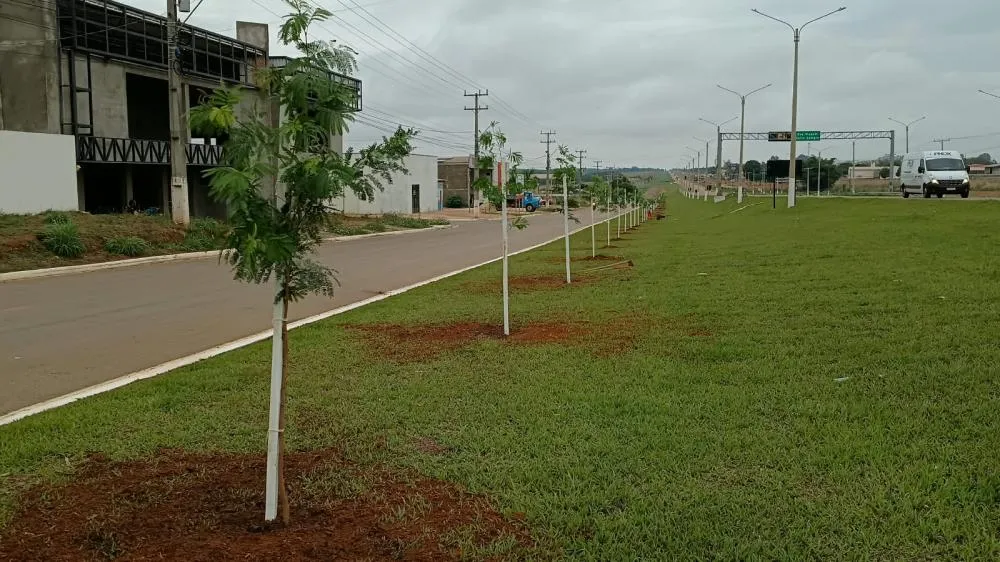 Viveiro Municipal será reaberto na próxima quarta-feira