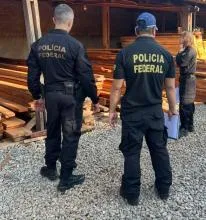 PF mira grupo envolvido no comércio ilegal de madeira nativa em 3 estados