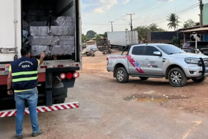 Sefa apreende nove toneladas de polpa de pitaya, sem nota fiscal, em Dom EliseuCarga foi avaliada em mais de R$ 263 mil e sofreu um Termo de Apreensão e Depósito (TAD)