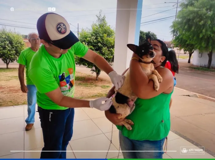 Será realizado o “Dia D” de Vacinação Antirrábica para cães e gatos neste sábado