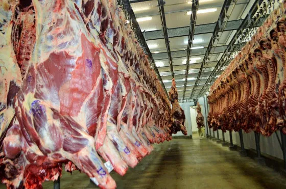 Com rebanho em queda e preços em alta, MT se destaca na exportação de carne bovina A valorização da arroba, aliada a uma carne de qualidade e preços ainda competitivos frente a outros países produtores