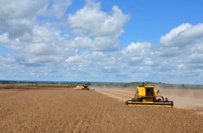 Com retorno das chuvas, plantio da soja já ocupa maior área das últimas cinco safrasO retorno das chuvas na primeira quinzena de outubro provocou uma corrida dos agricultores para semear a próxima safra de soja. 