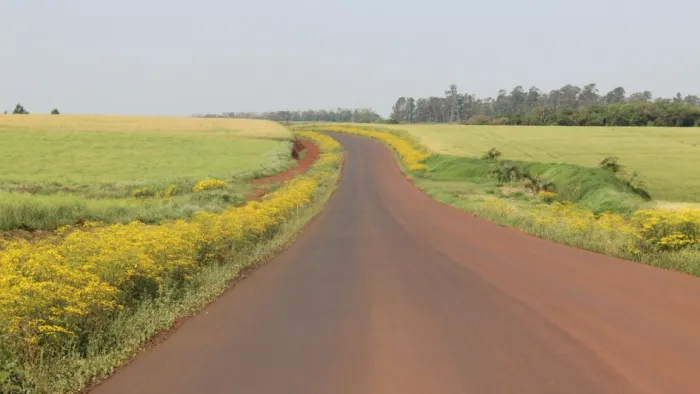Acessos municipais pavimentados transformam o mapa rodoviário do EstadoDesde 2019, quando 62 municípios gaúchos ainda não possuíam acesso asfaltado, 23 ligações foram finalizadas pelo governo do Estado