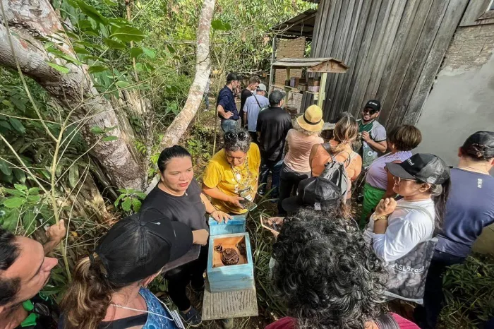 Semas estimula bioeconomia com incentivo à produção sustentável de mel no ParáSecretaria de Meio Ambiente e Sustentabilidade do Pará (Semas) regulamentou o segmento conferindo segurança jurídica à atividade