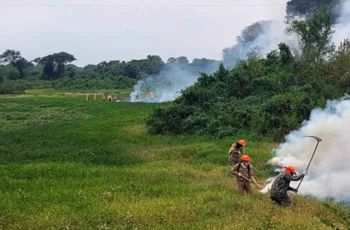 Em 12 dias, chuvas acima da média contribuem para controlar focos de incêndios no Pantanal de MSAs chuvas na região do Pantanal sul-mato-grossense estão acima da média histórica durante todo o mês de outubro, o que contribuiu para o controle