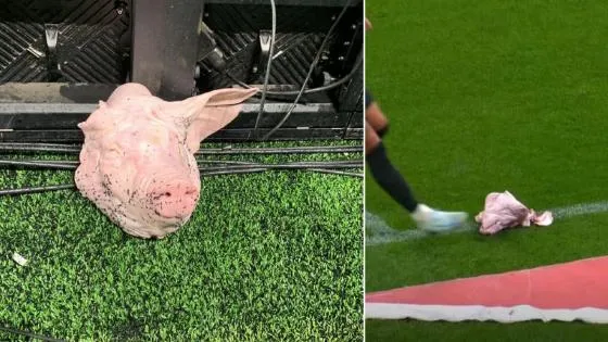 Torcida do Corinthians arremessa cabeça de porco no gramado em clássico contra Palmeiras Yuri Alberto chutou a parte do animal morto para fora do gramado e “quase quebrou o pé”